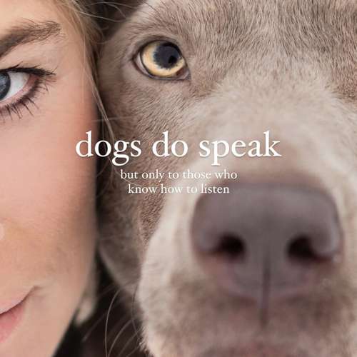 Hundeauslaufgebiet-Krawallkrallen Hundetraining-Bild