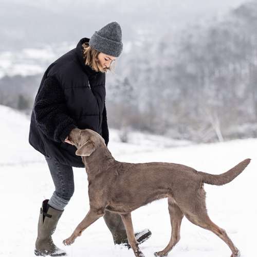 Hundeauslaufgebiet-Krawallkrallen Hundetraining-Bild