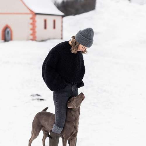 Hundeauslaufgebiet-Krawallkrallen Hundetraining-Bild