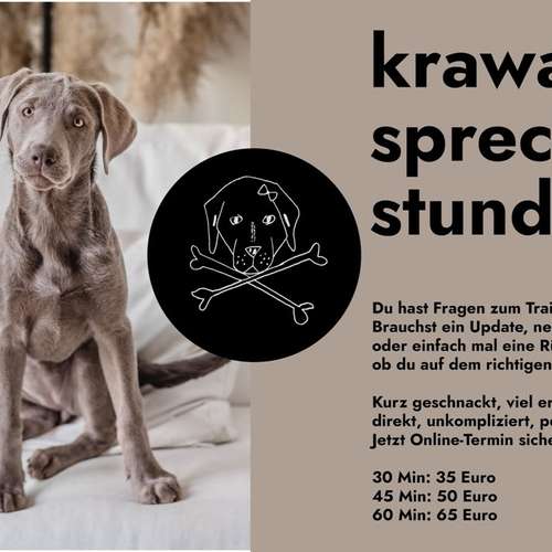 Hundeauslaufgebiet-Krawallkrallen Hundetraining-Bild