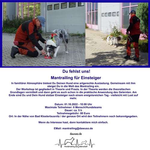 Hundeauslaufgebiet-Marco Schüttler Hundetrainer-Bild