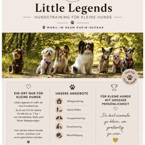 Hundeauslaufgebiet-Little Legends-Hundetraining für kleine Hunde-Bild