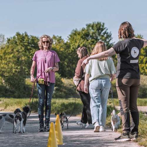Hundeauslaufgebiet-Little Legends-Hundetraining für kleine Hunde-Bild