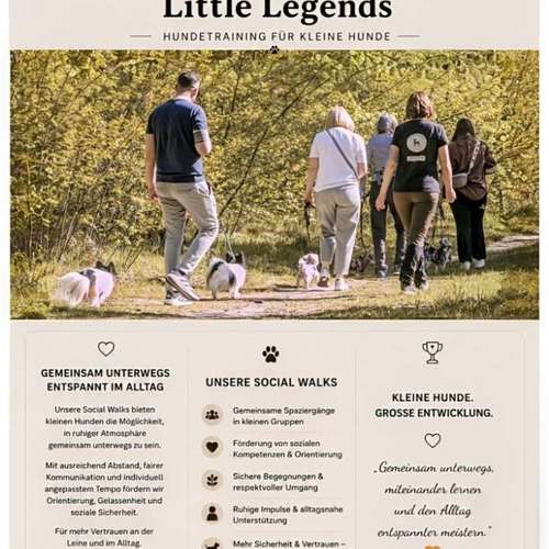 Hundeauslaufgebiet-Little Legends-Hundetraining für kleine Hunde-Bild
