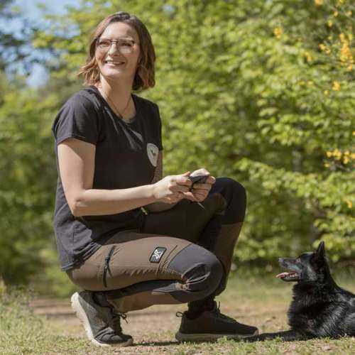 Hundeauslaufgebiet-Little Legends-Hundetraining für kleine Hunde-Bild