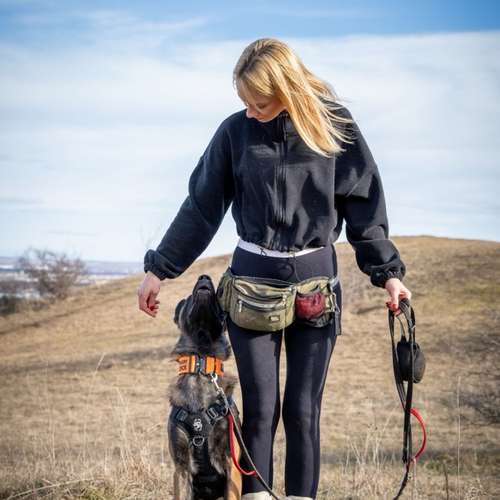 Hundeauslaufgebiet-State of a Pack-Bild