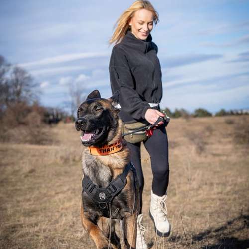 Hundeauslaufgebiet-State of a Pack-Bild