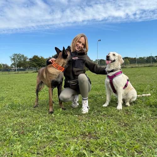 Hundeauslaufgebiet-State of a Pack-Bild