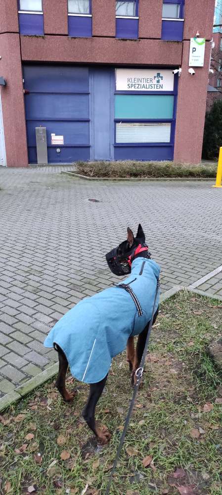 Hundeauslaufgebiet-Kleintierspezialisten Berlin - Brandenburg-Bild