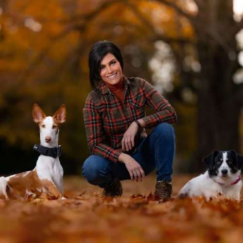 Hundeauslaufgebiet-TriebStark - Hundetraining & Verhaltenstherapie-Bild