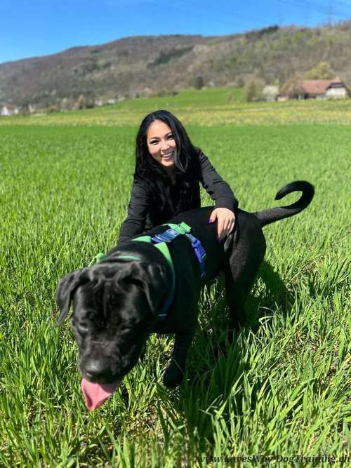 Hundeauslaufgebiet-Lave's Way Dog Training-Bild