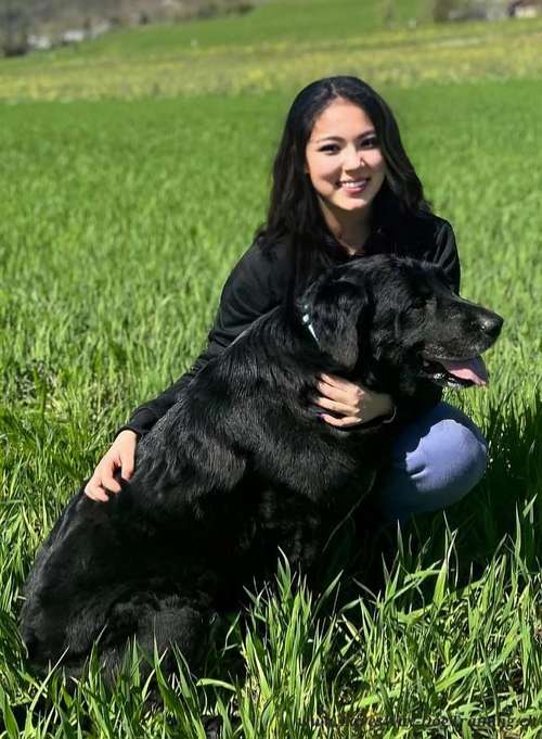 Hundeauslaufgebiet-Lave's Way Dog Training-Bild