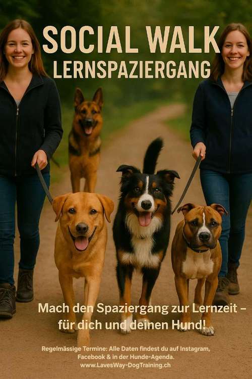 Hundeauslaufgebiet-Lave's Way Dog Training-Bild