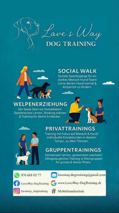 Hundeauslaufgebiet-Lave's Way Dog Training-Bild