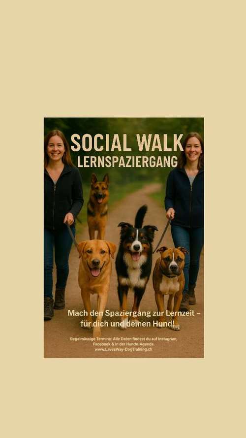 Hundeauslaufgebiet-Lave's Way Dog Training-Bild