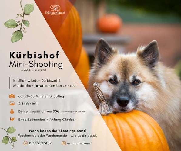 Hundeauslaufgebiet-Schnutenkunst Tierfotografie-Bild