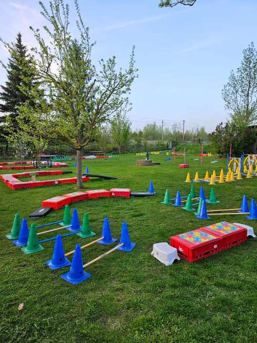 Hundeauslaufgebiet-Hundegspür Training mit Gspür für Mensch und Tier e.U.-Bild