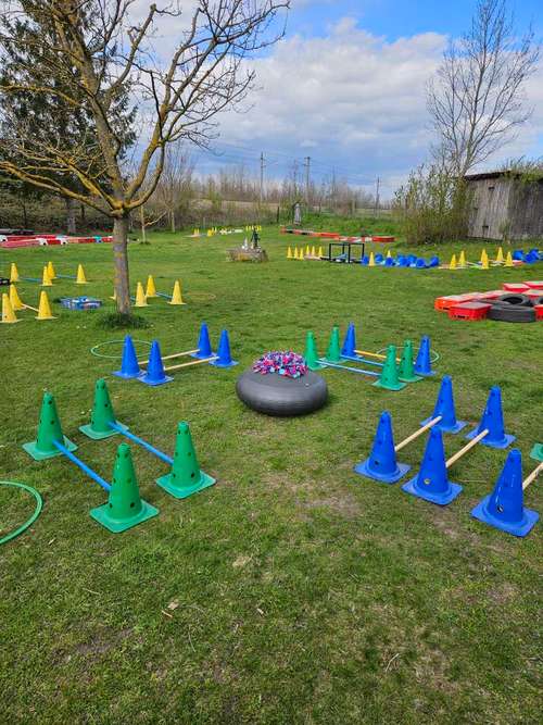 Hundeauslaufgebiet-Hundegspür Training mit Gspür für Mensch und Tier e.U.-Bild