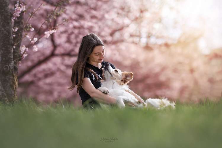 Hundeauslaufgebiet-Stefanie Schäfer Fotografie-Bild