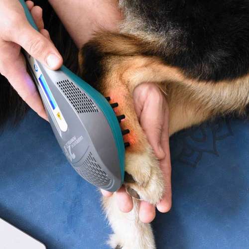 Hundeauslaufgebiet-Pawlou GbR-Bild