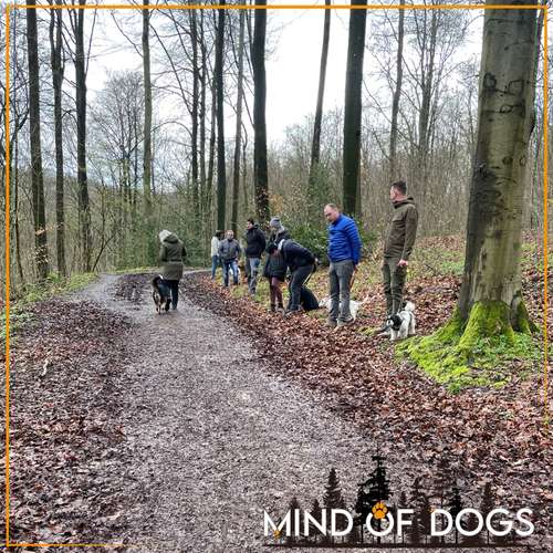 Hundeauslaufgebiet-Mind of Dogs-Bild