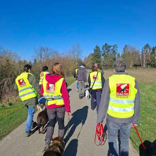 Hundeauslaufgebiet-DIALOG Hundeschule-Bild