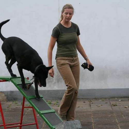 Hundeauslaufgebiet-DIALOG Hundeschule-Bild