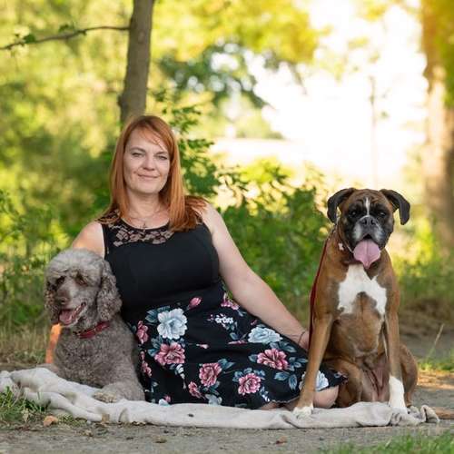 Hundeauslaufgebiet-Wuff und Wohl-Bild