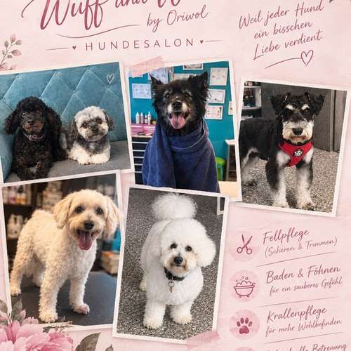 Hundeauslaufgebiet-Wuff und Wohl-Bild