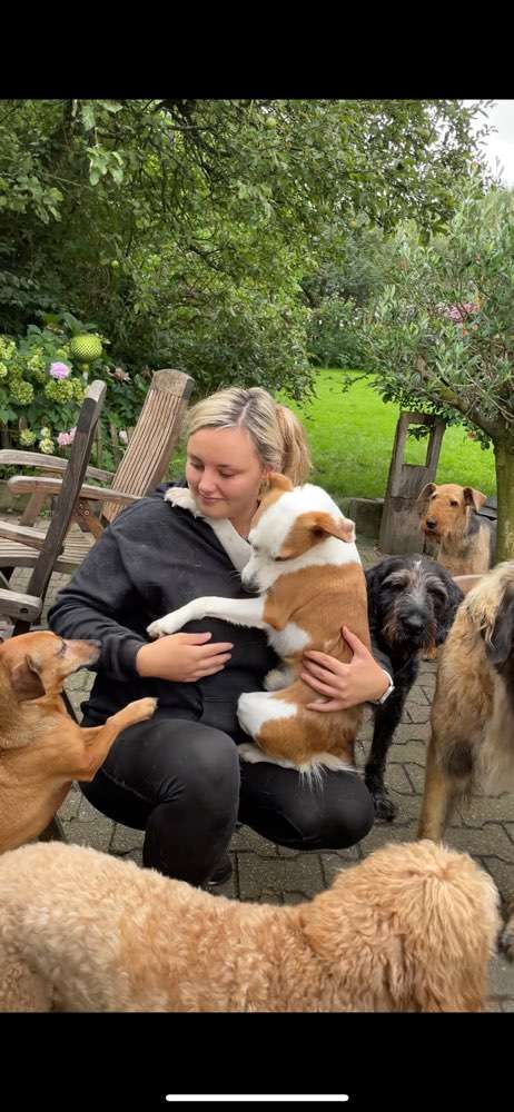 Hundeauslaufgebiet-Scher & Schnitt-Bild