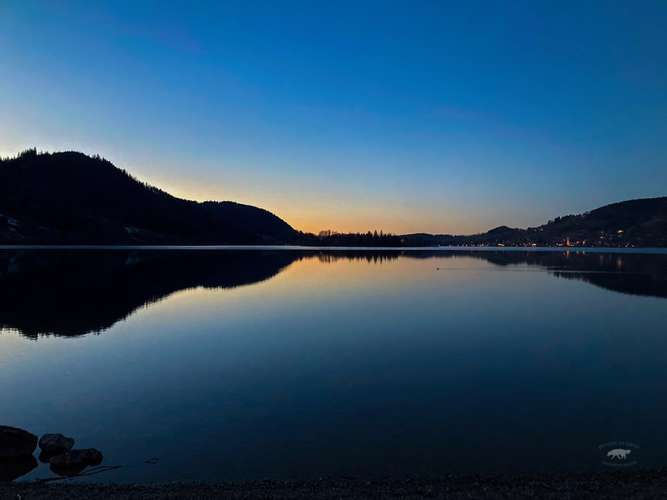 Hundeauslaufgebiet-Pfoten in Szene - Hundefotografie Christine Falken-Bild