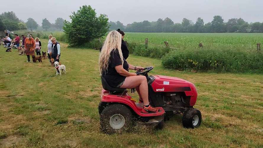 Hundeauslaufgebiet-Hundeschule Team Ideal-Bild