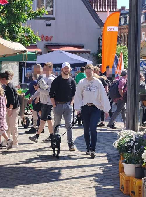 Hundeauslaufgebiet-Hundeschule Team Ideal-Bild