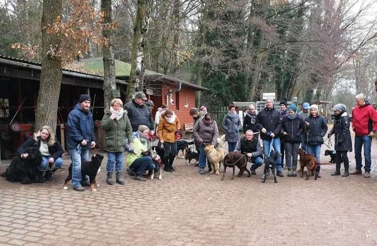 Hundeauslaufgebiet-Hundeschule Team Ideal-Bild