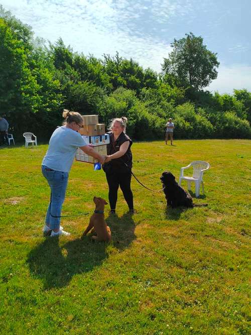 Hundeauslaufgebiet-Hundeschule Team Ideal-Bild