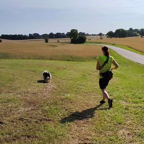 Hundeauslaufgebiet-Hundeschule Team Ideal-Bild