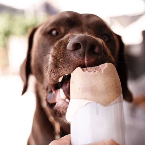 Hundeauslaufgebiet-Skina-Snacks-Bild