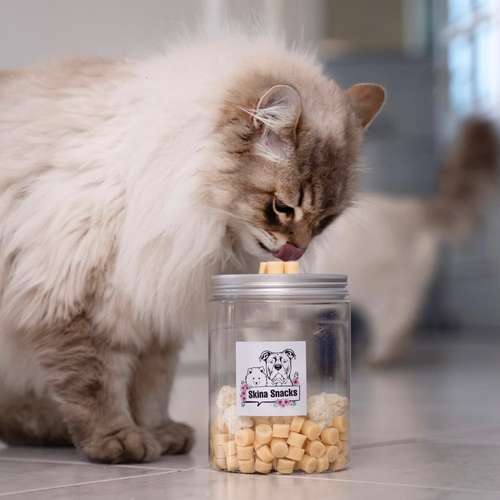Hundeauslaufgebiet-Skina-Snacks-Bild