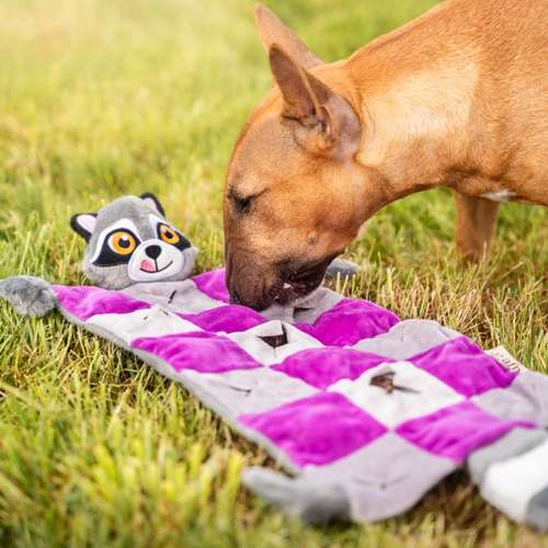 Hundeauslaufgebiet-Skina-Snacks-Bild