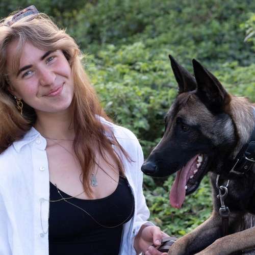 Hundeauslaufgebiet-DogDynamics-Bild