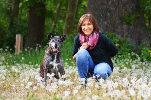 Hundeauslaufgebiet-Tierzeit Hundeschule Hannover-Bild