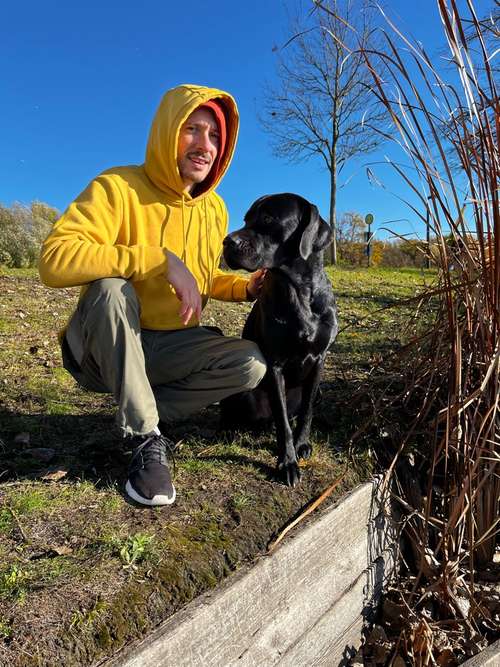 Hundeauslaufgebiet-Dog-Intelligence-Academy-Bild