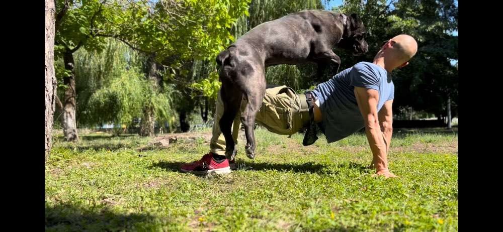 Hundeauslaufgebiet-Dog-Intelligence-Academy-Bild