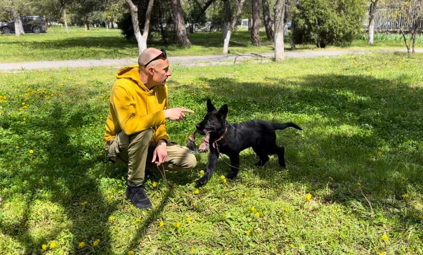 Hundeauslaufgebiet-Dog-Intelligence-Academy-Bild