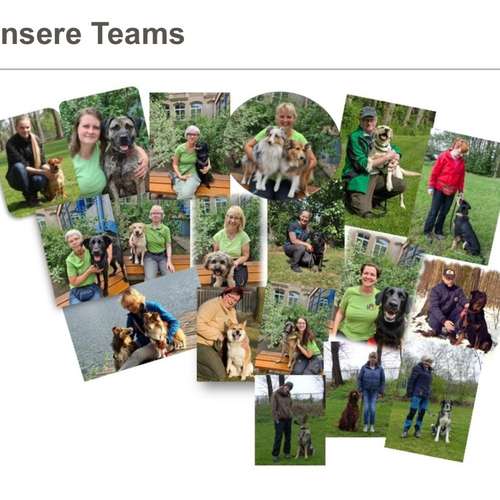 Hundeauslaufgebiet-Hundesportverein Meißen-Nassau e.V.-Bild