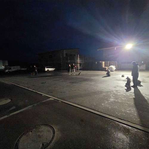 Hundeauslaufgebiet-Traildogs Hundetraining-Nicole Steinmetz -Bild