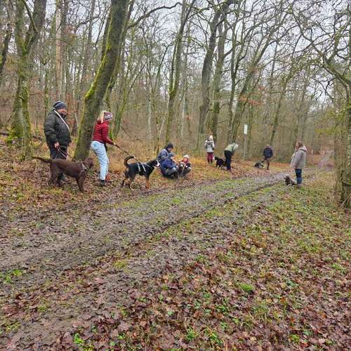 Hundeauslaufgebiet-Traildogs Hundetraining-Nicole Steinmetz -Bild
