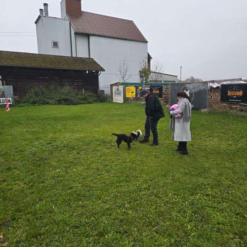 Hundeauslaufgebiet-Traildogs Hundetraining-Nicole Steinmetz -Bild