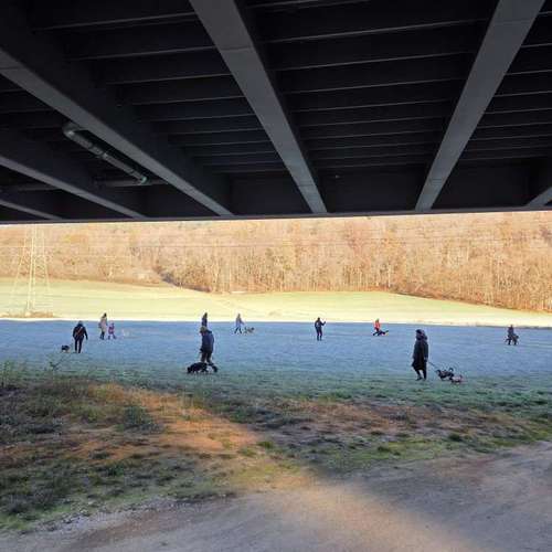 Hundeauslaufgebiet-Traildogs Hundetraining-Nicole Steinmetz -Bild