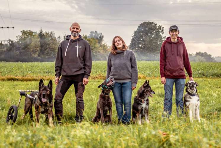 Hundeauslaufgebiet-Halb so wild Region Stuttgart-Bild